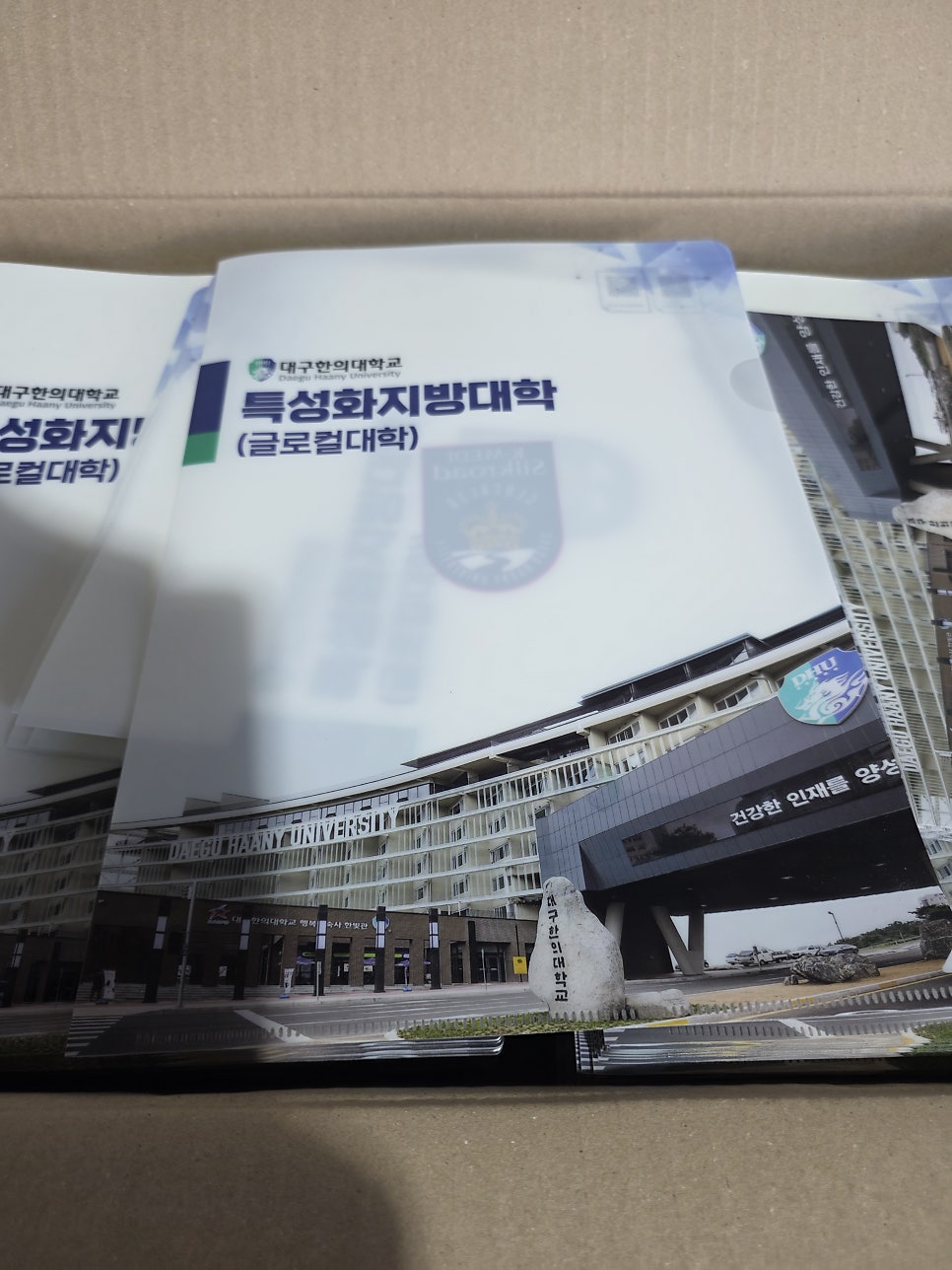 금색 로고와 검정 로고를 비교한 투명 엘자화일
