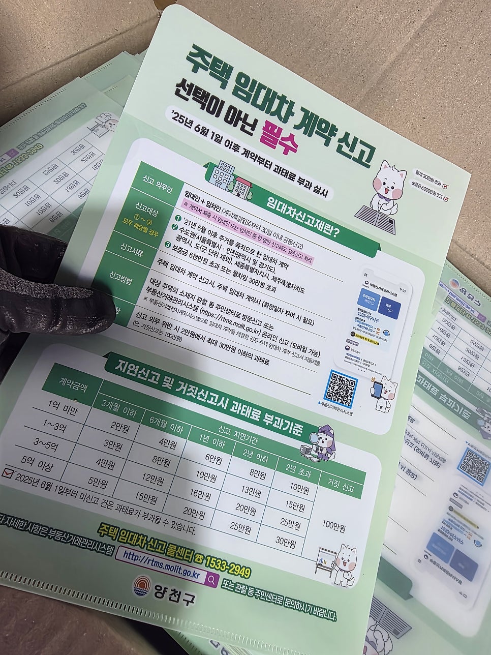 투명 PP L자파일 제작 사례, 백색 처리와 전면컬러 인쇄